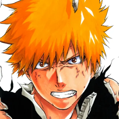 Bleach Ichigo PFP 1