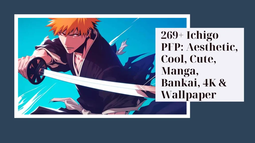 Ichigo PFP