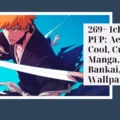 Ichigo PFP