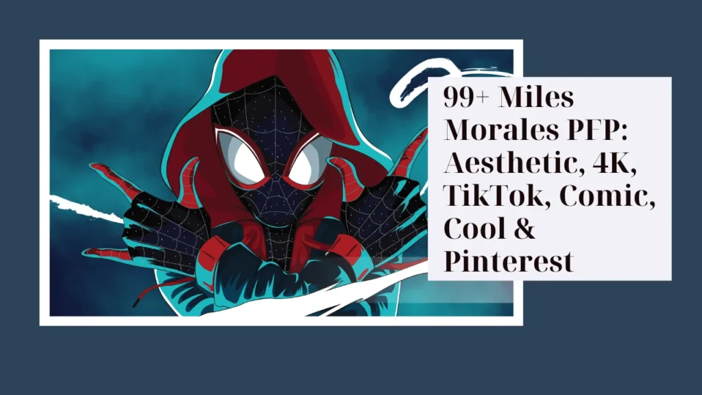 Miles Morales PFP