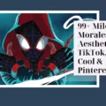Miles Morales PFP